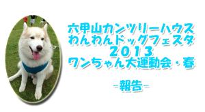 六甲山カンツリーハウス わんわんドッグフェスタ13 公益社団法人knots