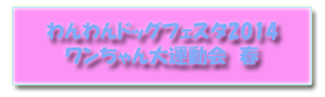 undokai2014