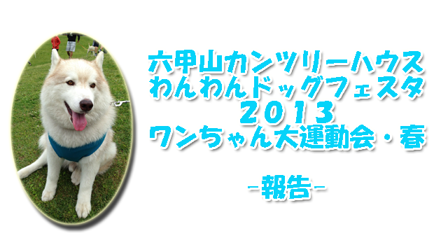 dogfes2013