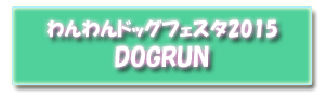 dogrun2015-2